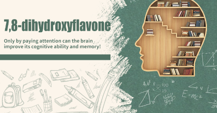 {7,8-dihydroxyflavone}