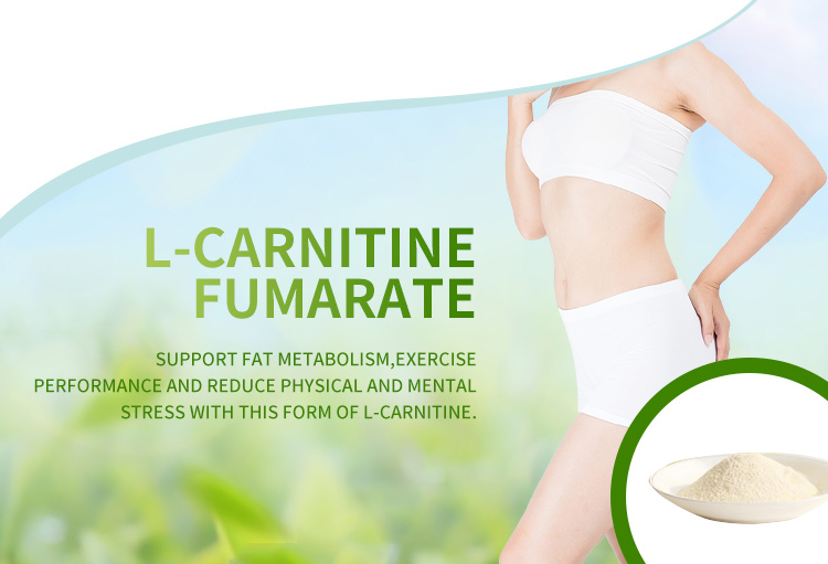 {L-Carnitine Fumarate}